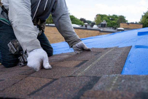 Best Flat Roofing  in Black Hammock, FL